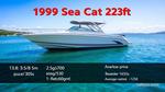 Complete Guide to Buying a 1998 Sea Cat