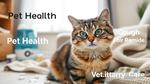 Coughing Cat Causes and Treatments Explained