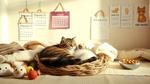 Understanding Cat Pregnancy Duration and Care