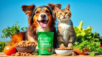 Maximize Your Pets Health with Chlorella